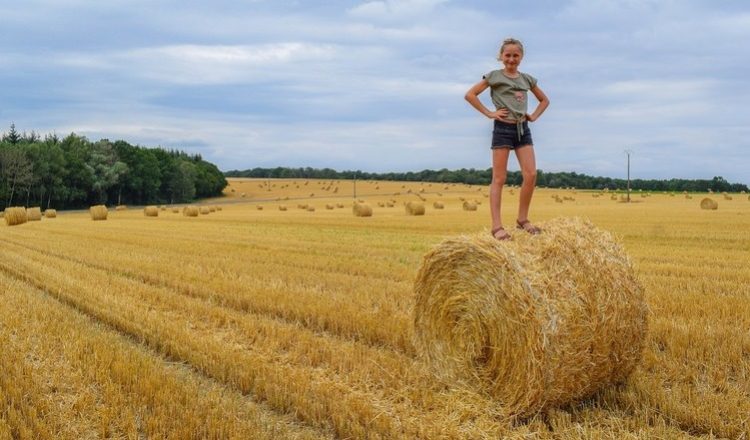 Induló mezőgazdasági vállalkozások támogatása